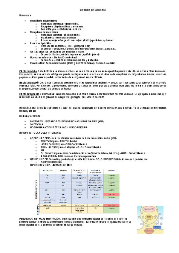 Miniatura del documento todo-sistema-endocrino-y-renal.pdf