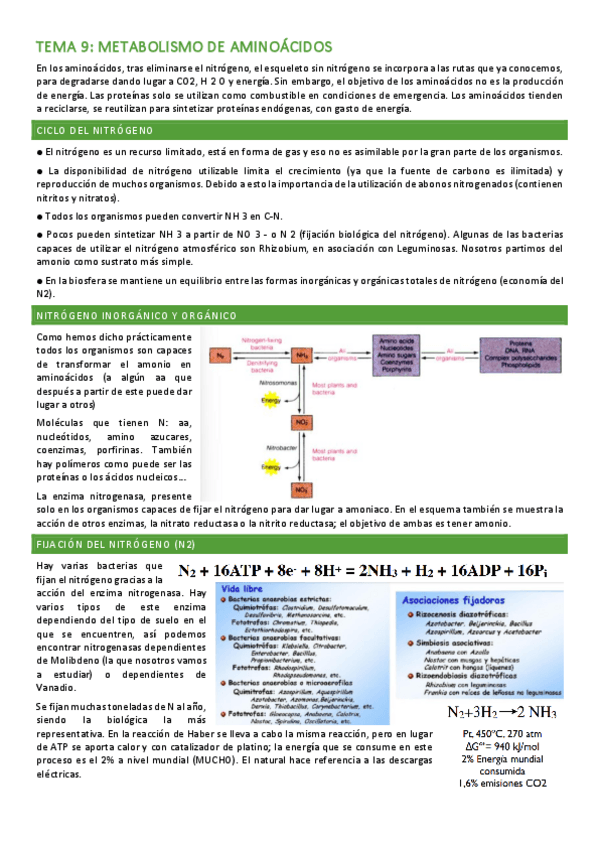 Miniatura del documento Tema-9.pdf