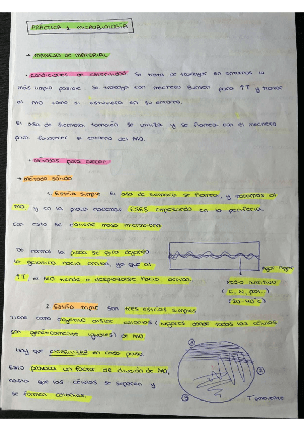 Miniatura del documento APUNTES-PRACTICAS-MICROBIOLOGIA COMPLETOS.pdf
