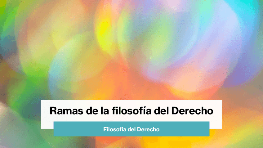 Miniatura del documento Ramas-de-la-filosofia-del-Derecho.pdf