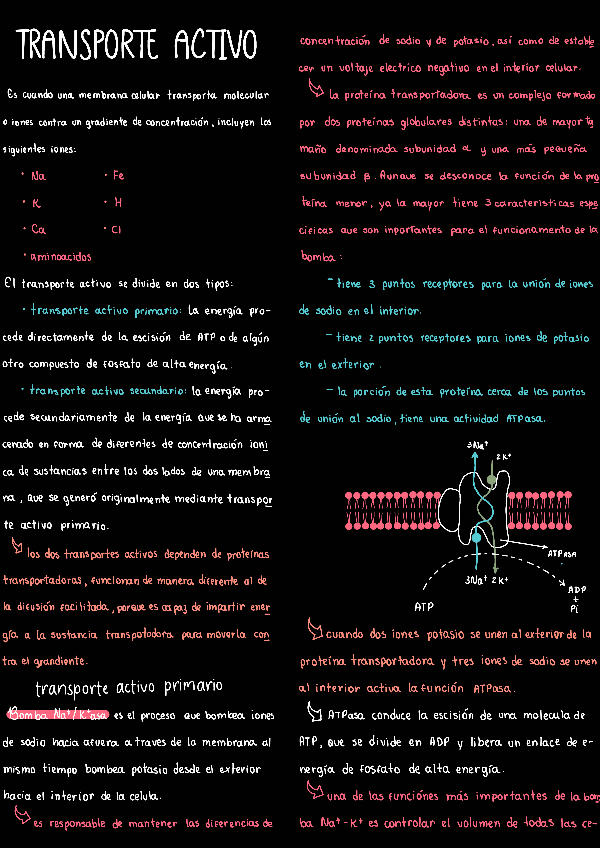 Miniatura del documento Transporte-activo.pdf