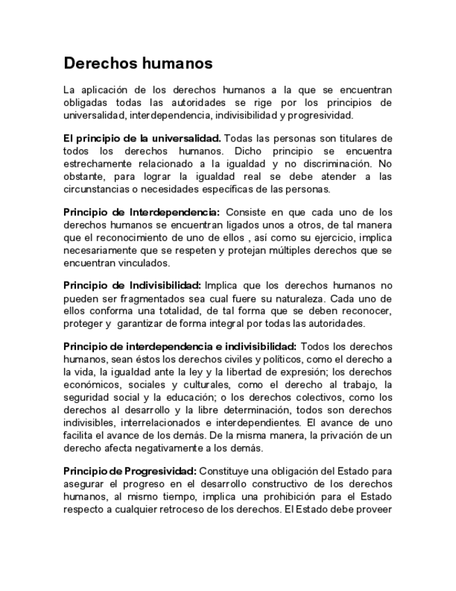 Miniatura del documento Derechos-humanos-Principios.pdf