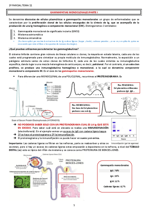Miniatura del documento GAMMAPATIAS-MONOCLONALES-PARTE-I.pdf
