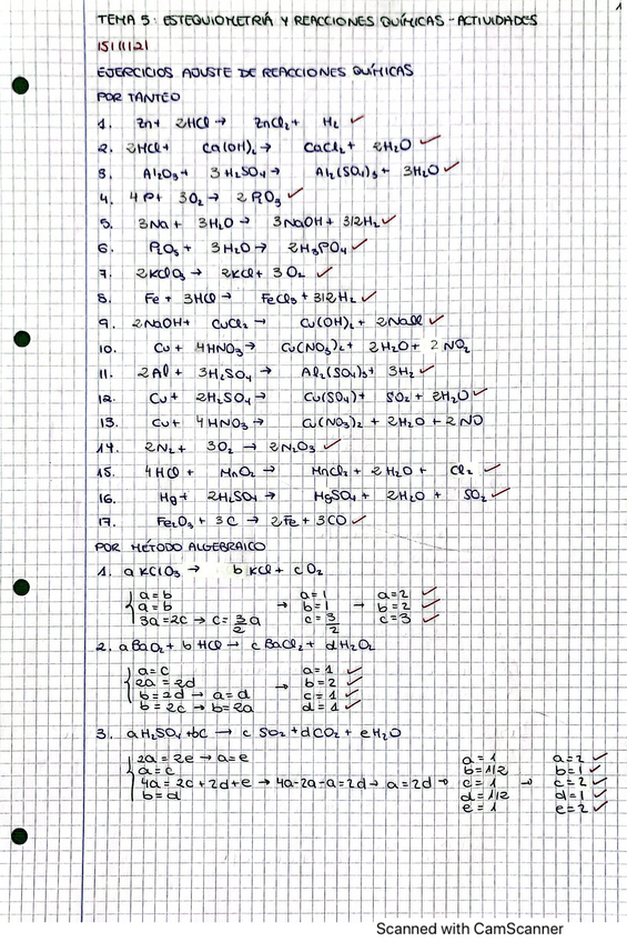 Miniatura del documento Quimica-T.5.pdf