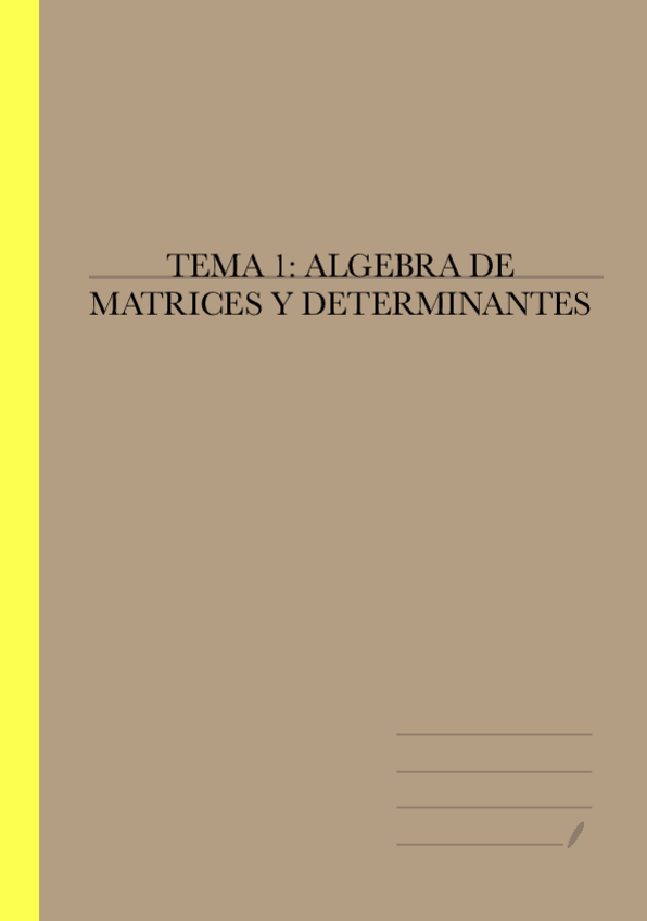 Miniatura del documento TEMA-1.pdf