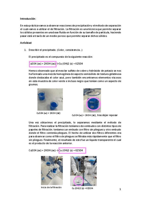 Miniatura del documento PRACTICA-1-QUIMICA.pdf