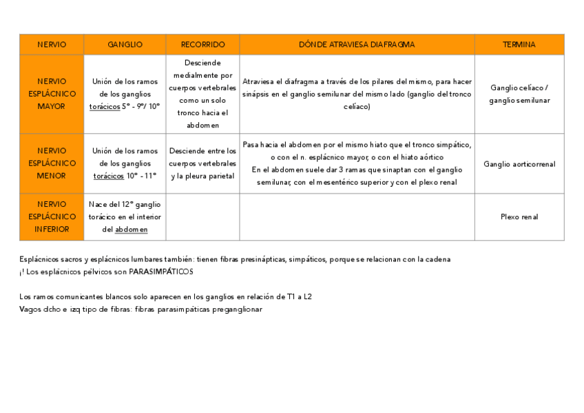 Miniatura del documento TABLAS-inervacion-Bea.pdf