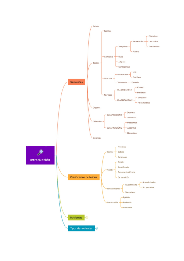 Miniatura del documento Esquemas-fisiologia.pdf