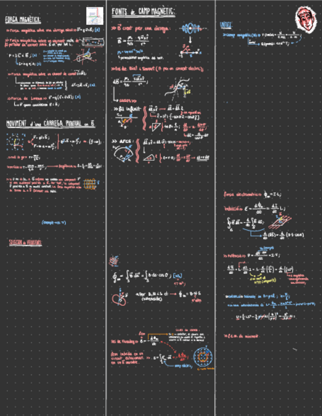 Miniatura del documento Apunts-Camp-Magnetic.pdf
