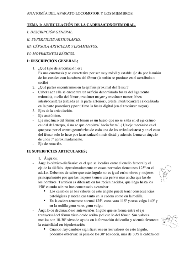 Miniatura del documento MIEMBRO-INFERIOR-APUNTES.-IRENE-ALEGRIA-SANDOVAL..pdf