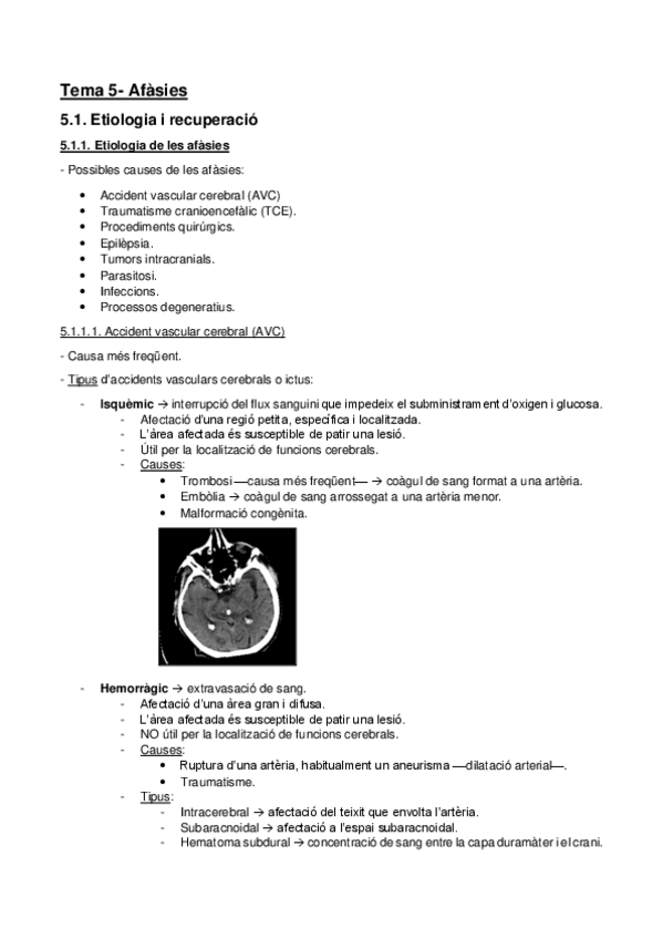 Miniatura del documento T5-Afasies.pdf