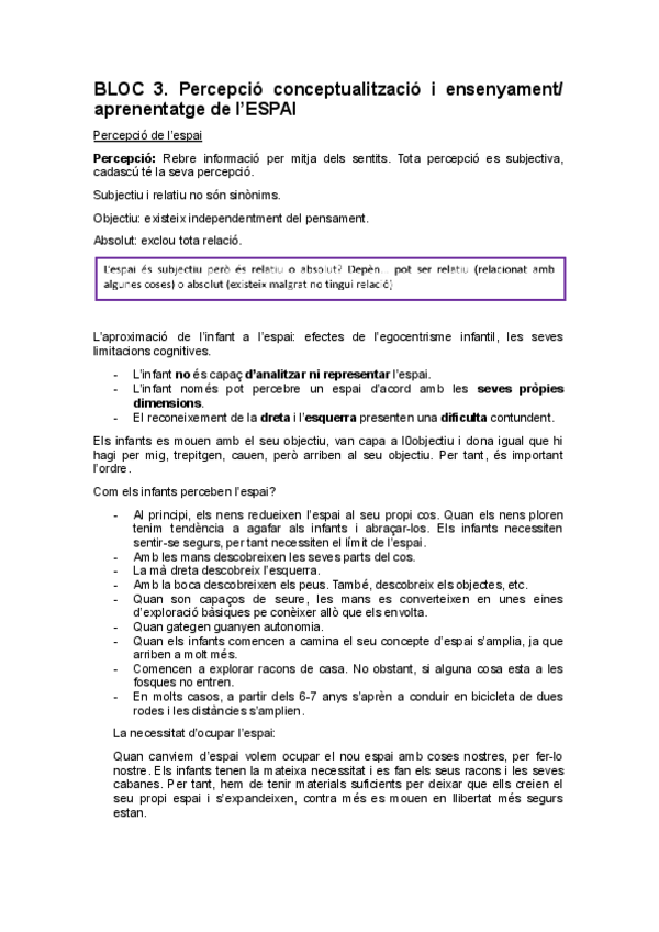 Miniatura del documento ESPAI.pdf