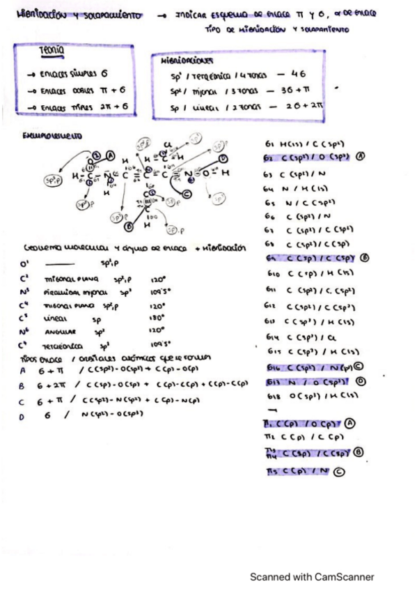 Miniatura del documento Hibridacion-teoria--ejercicio-examen.pdf