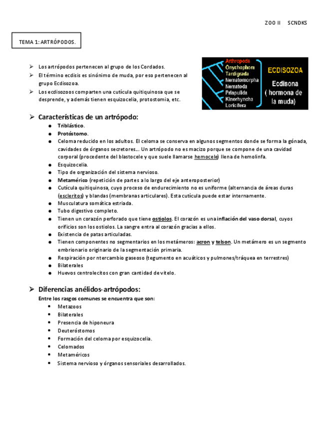 Miniatura del documento tema-1-zoo-II.pdf