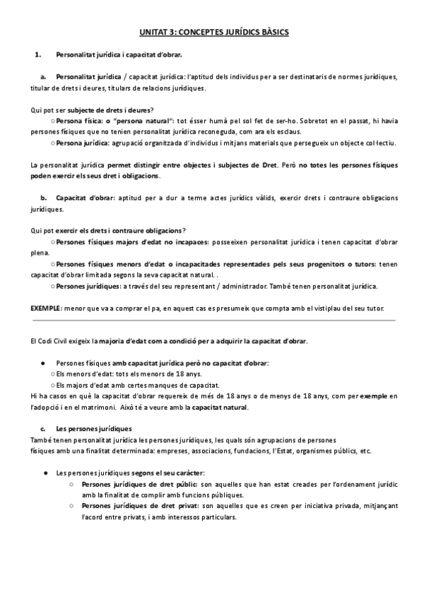 Miniatura del documento APUNTS-TEMA-3-INTRODUCCIO-AL-DRET-I.pdf
