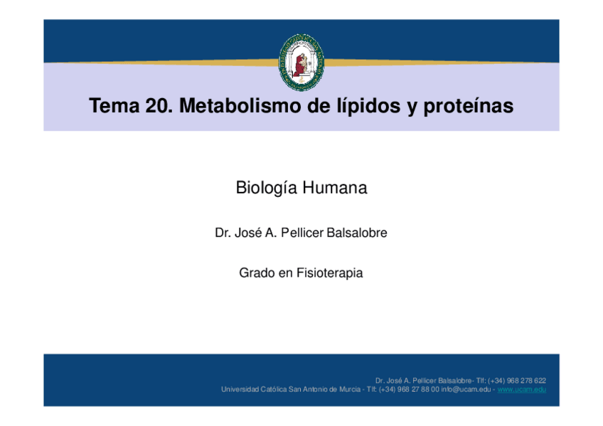Miniatura del documento Tema 20. Metabolismo de lípidos y proteínas.pdf