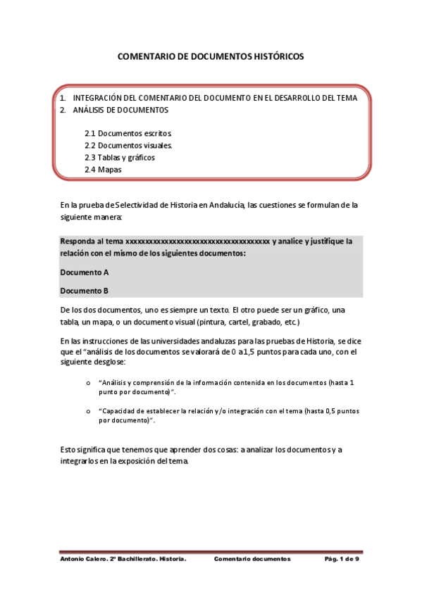 Miniatura del documento Pautas-para-Comentario-de-Fuentes.pdf