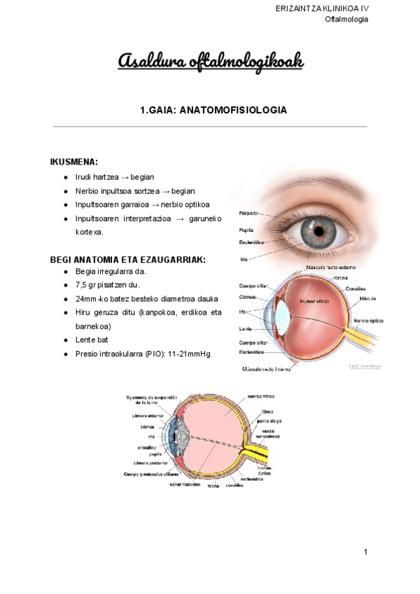 Miniatura del documento 3.pdf