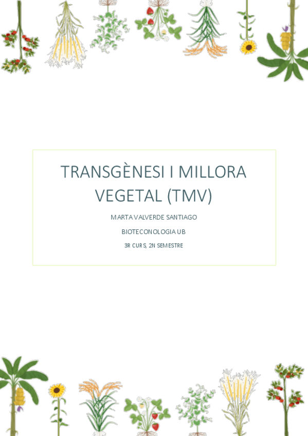 Miniatura del documento TMV.pdf