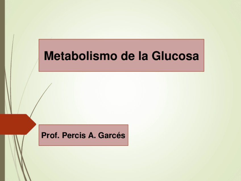 Miniatura del documento Ciclo-de-la-Glucosa-o-Ciclo-de-Krebs-2022-A.pdf