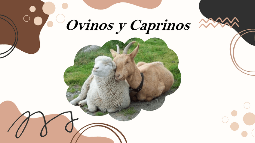 Miniatura del documento Ovinos-y-Caprinosgeneralidades.pdf