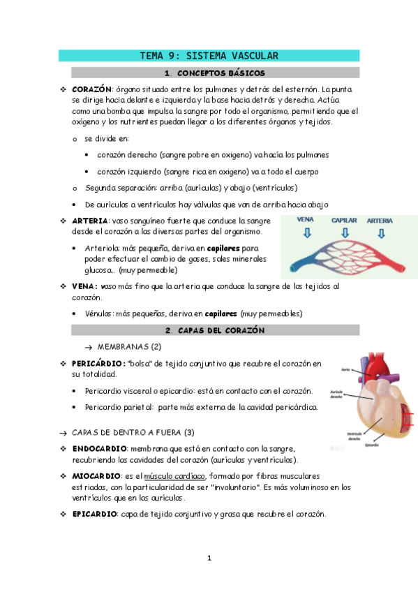 Miniatura del documento ANAT-T9.pdf