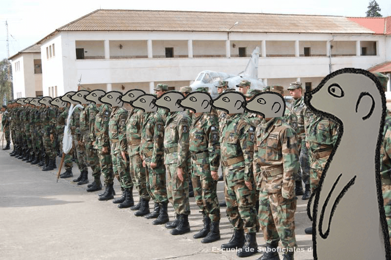 Miniatura del documento Surikato.jpg