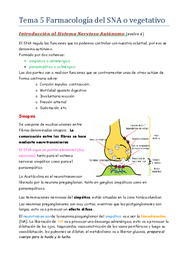 Miniatura del documento Temas-5-6-7-8...-SNA.pdf