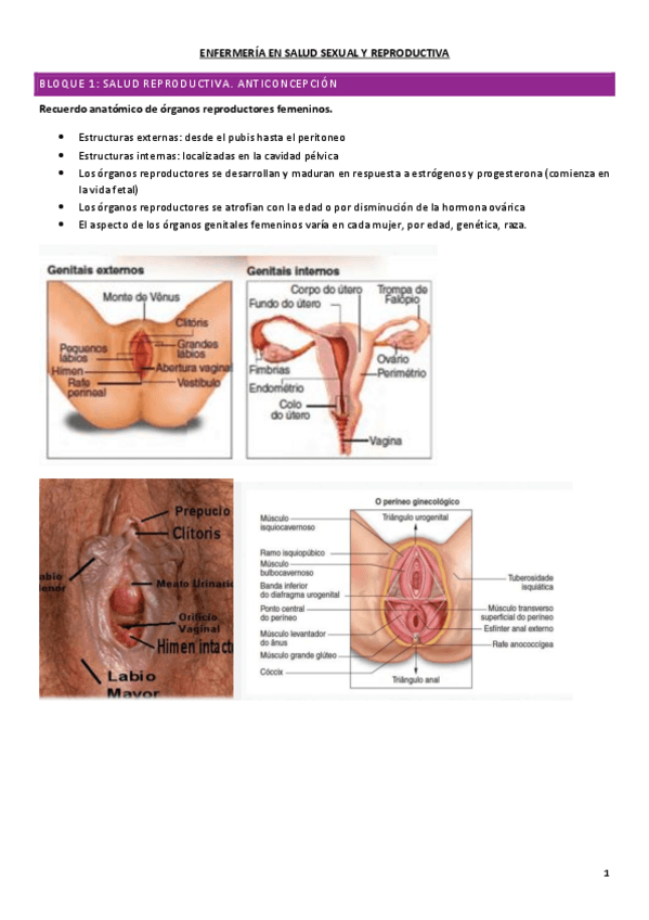 Miniatura del documento TEMA-1-SEXUAL.pdf