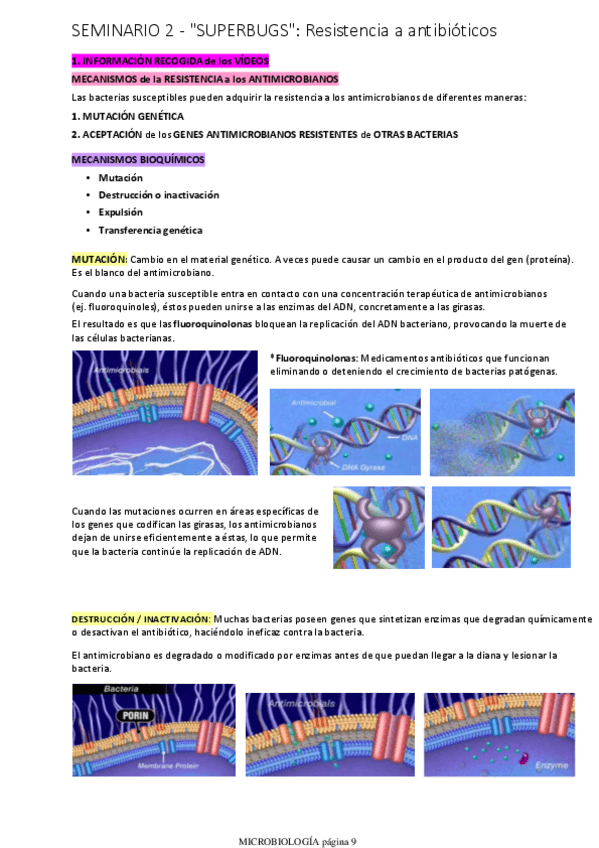 Miniatura del documento Seminario-2.pdf