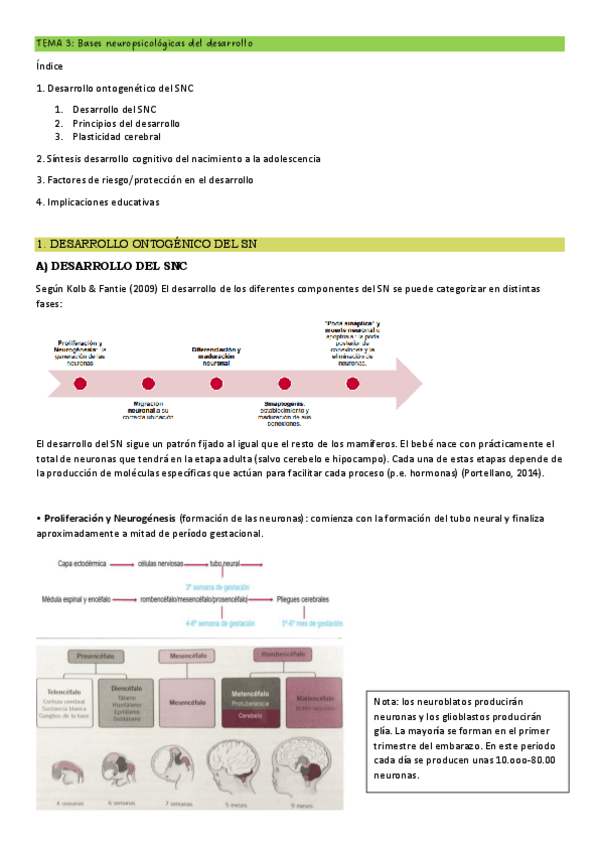 Miniatura del documento T3-NEC-ESP.pdf