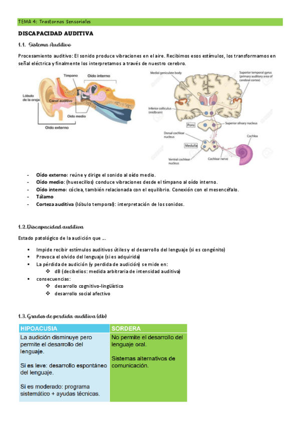 Miniatura del documento T4-NEC-ESP.pdf