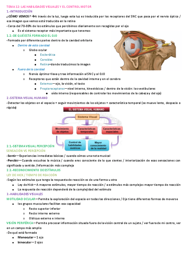 Miniatura del documento Tema-12.-Las-habilidades-visuales-y-el-control-motor.pdf