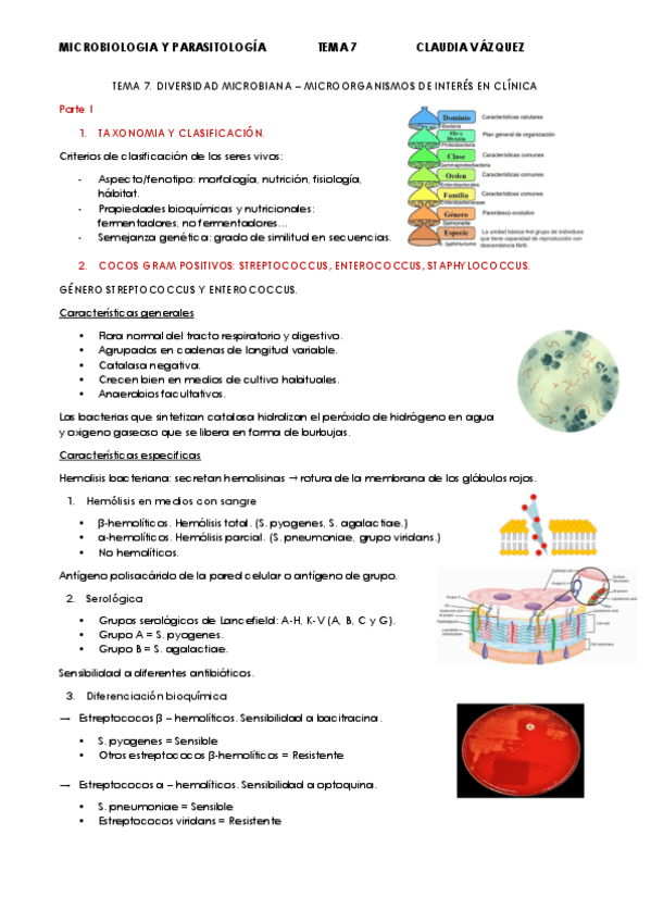 Miniatura del documento TEMA-7.-MICROBIOLOGIA.pdf