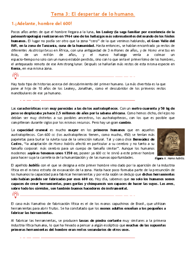 Miniatura del documento Antro-tema-3.pdf