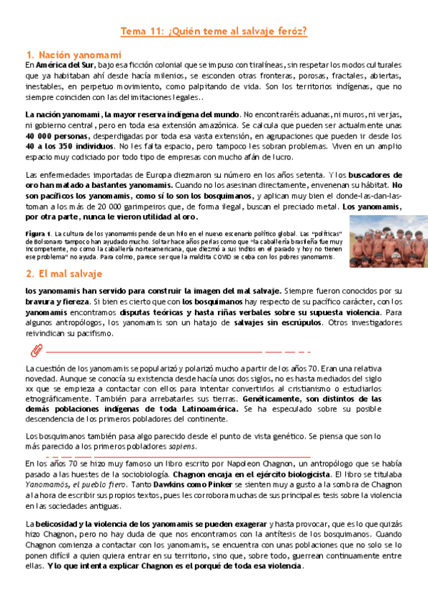 Miniatura del documento Antro-tema-11.pdf