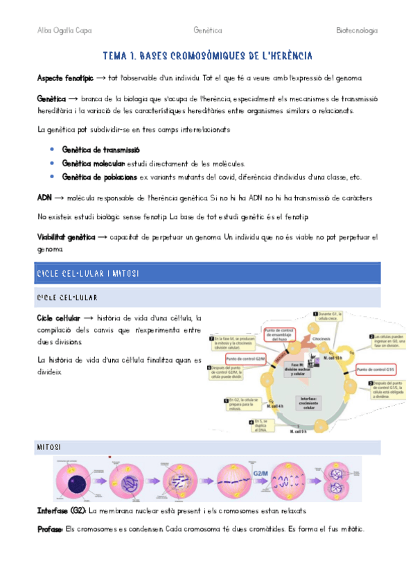 Miniatura del documento Tema-1.pdf