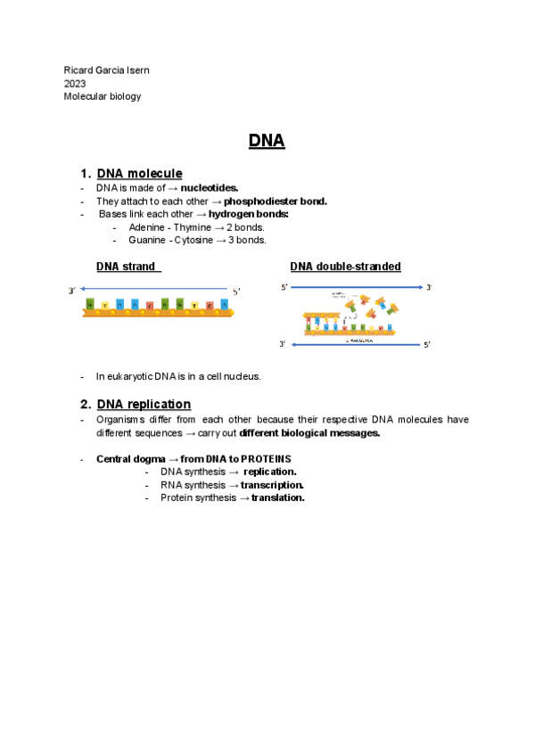 Miniatura del documento Molecular biology FINAL notes.pdf