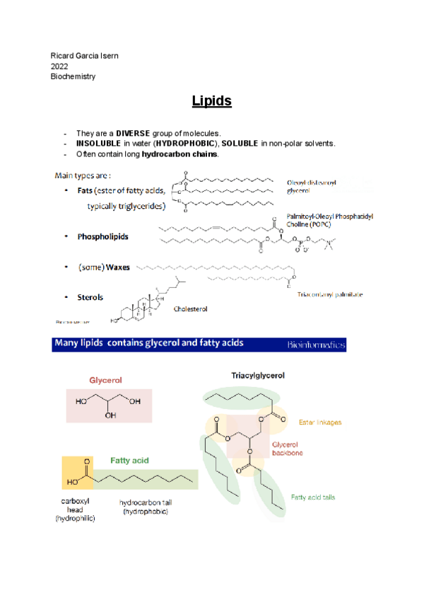 Miniatura del documento LIPIDS.pdf