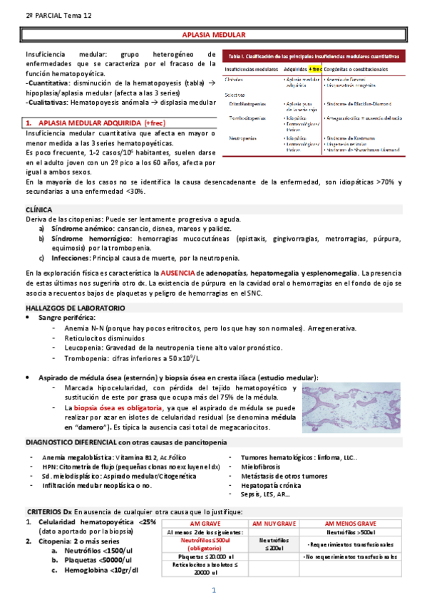Miniatura del documento APLASIA-MEDULAR.pdf