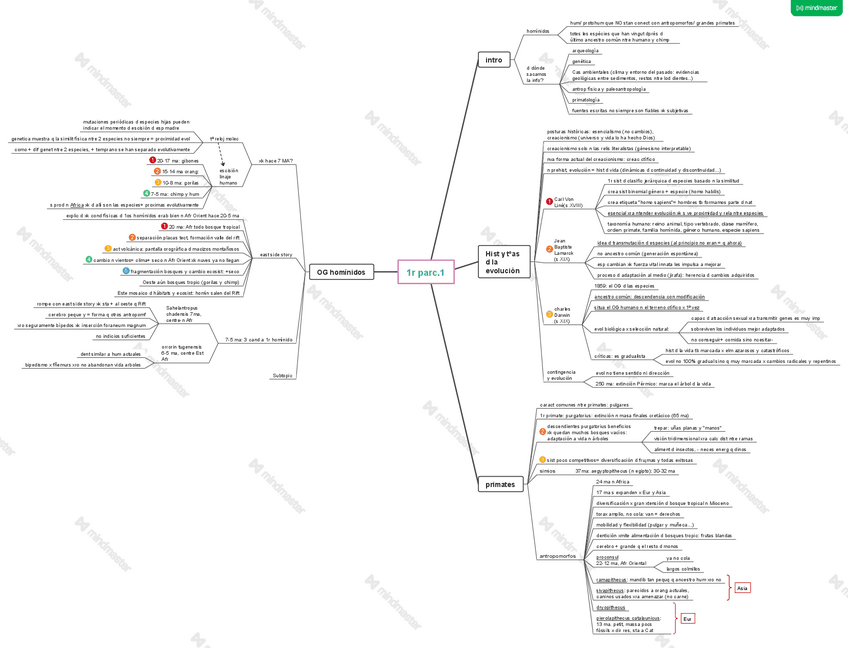 Miniatura del documento 1r-parcial.pdf