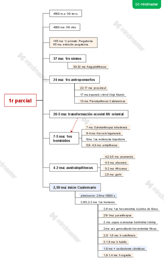 Miniatura del documento fris-1r-parcial.pdf