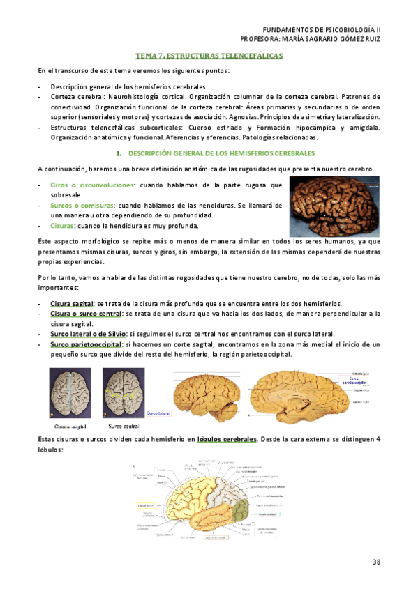 Miniatura del documento TEMA-7-PSICOBIOLOGIA-II.pdf