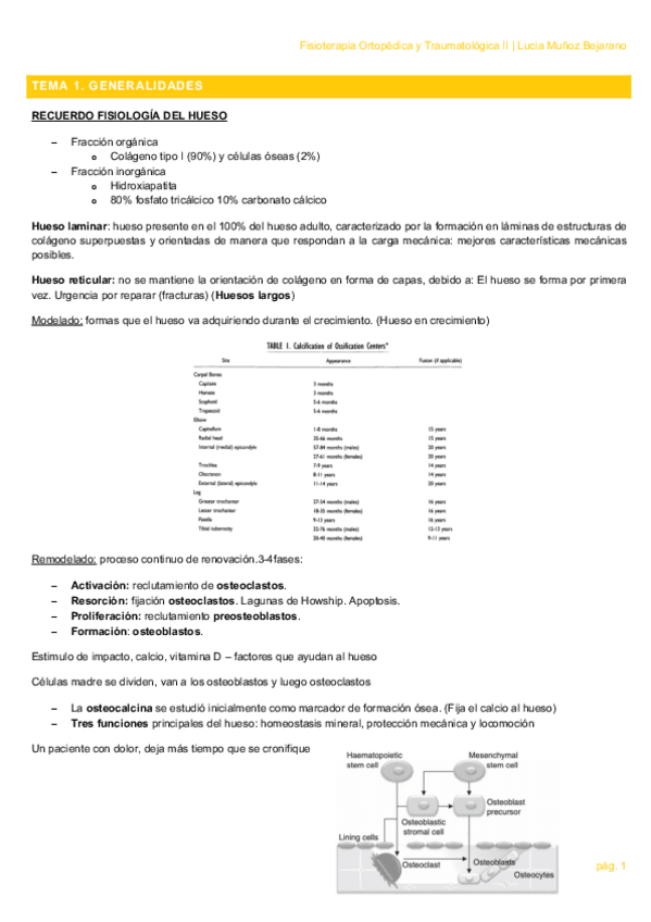 Miniatura del documento TEMA-1.pdf