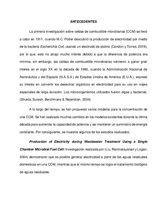 Miniatura del documento Antecendentes.pdf
