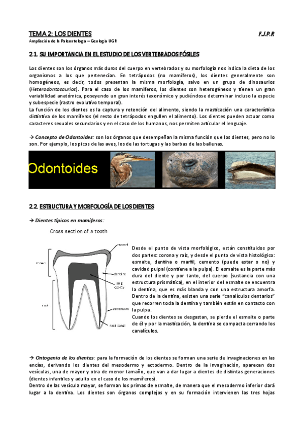 Miniatura del documento tema-2-completo.pdf