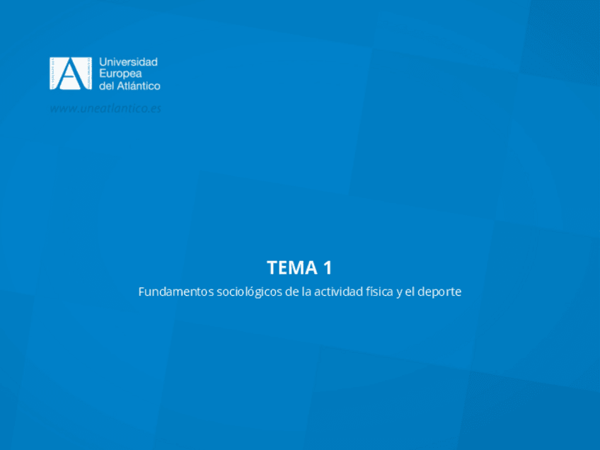 Miniatura del documento SD1.pdf