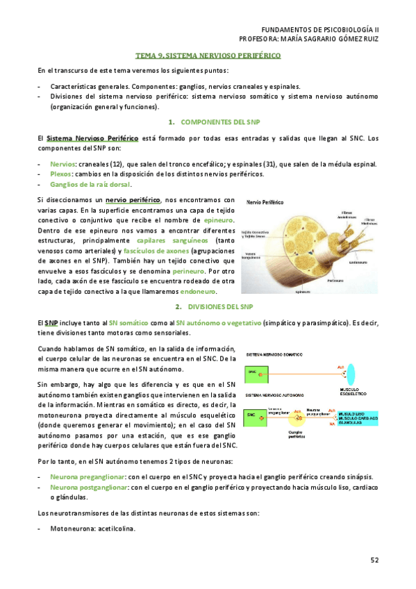 Miniatura del documento TEMA-9-PSICOBIOLOGIA-II.pdf