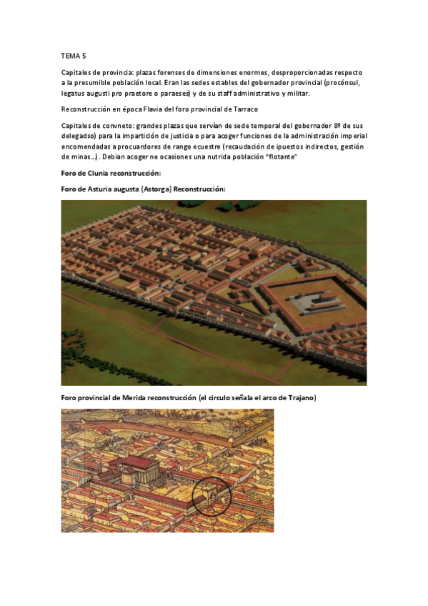 Miniatura del documento TEMA-5.pdf