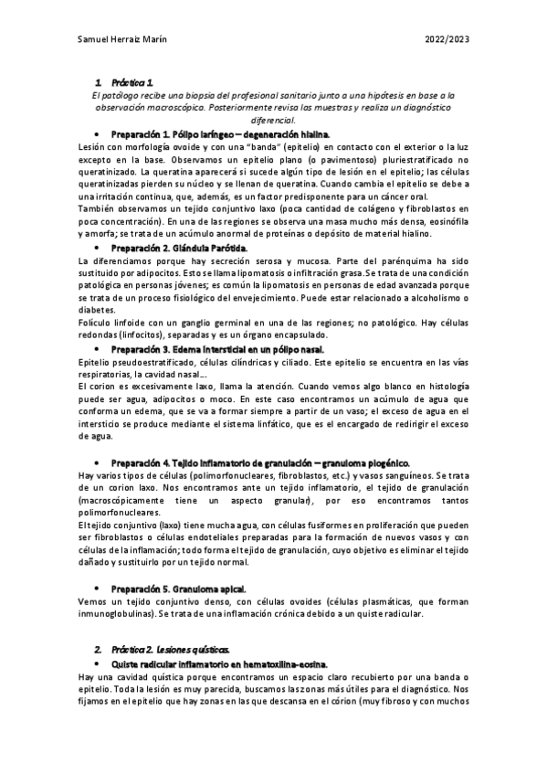Miniatura del documento Practicas-Anatomia-Patologica.pdf